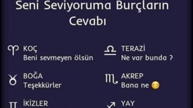 Burcuna göre seni seviyoruma karşı ne cevap verirsin?