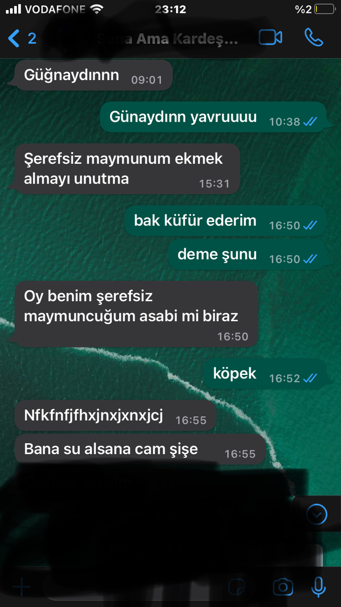 gülmekten ağladığımız bir videoda geçiyordu şerefsiz maymun oradan kaldı dilinde maaaaaalesefff