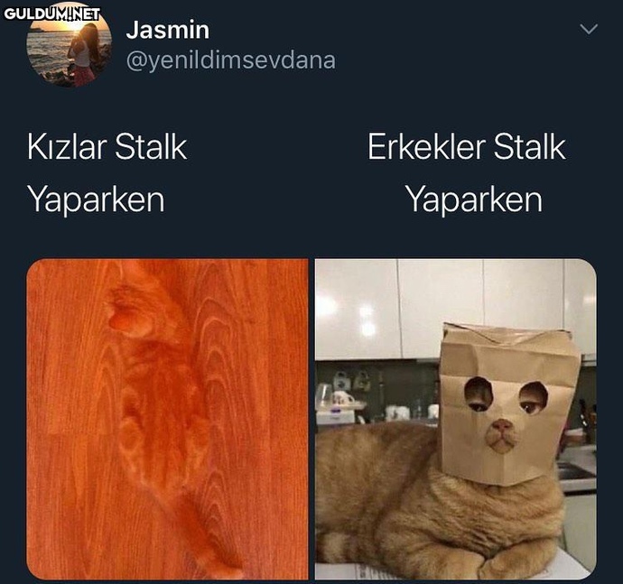 Kadınlar mı yoksa erkekler mi daha iyi stalklar?