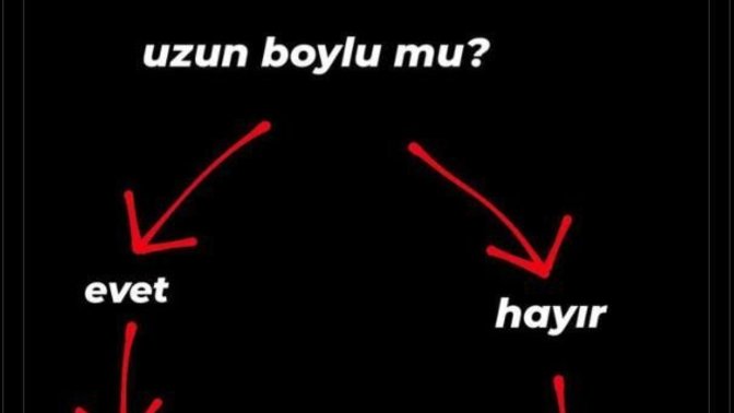 Boy bu kadar mı önemli?