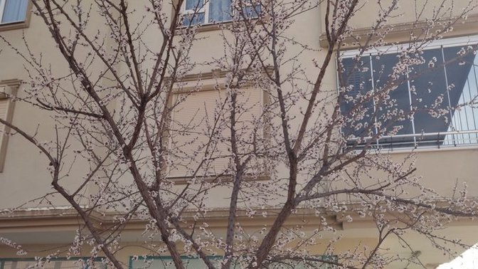 Bu hayattan hâlâ umudunuz, beklentiniz var mı, yoksa öylesine mi yaşıyorsunuz?