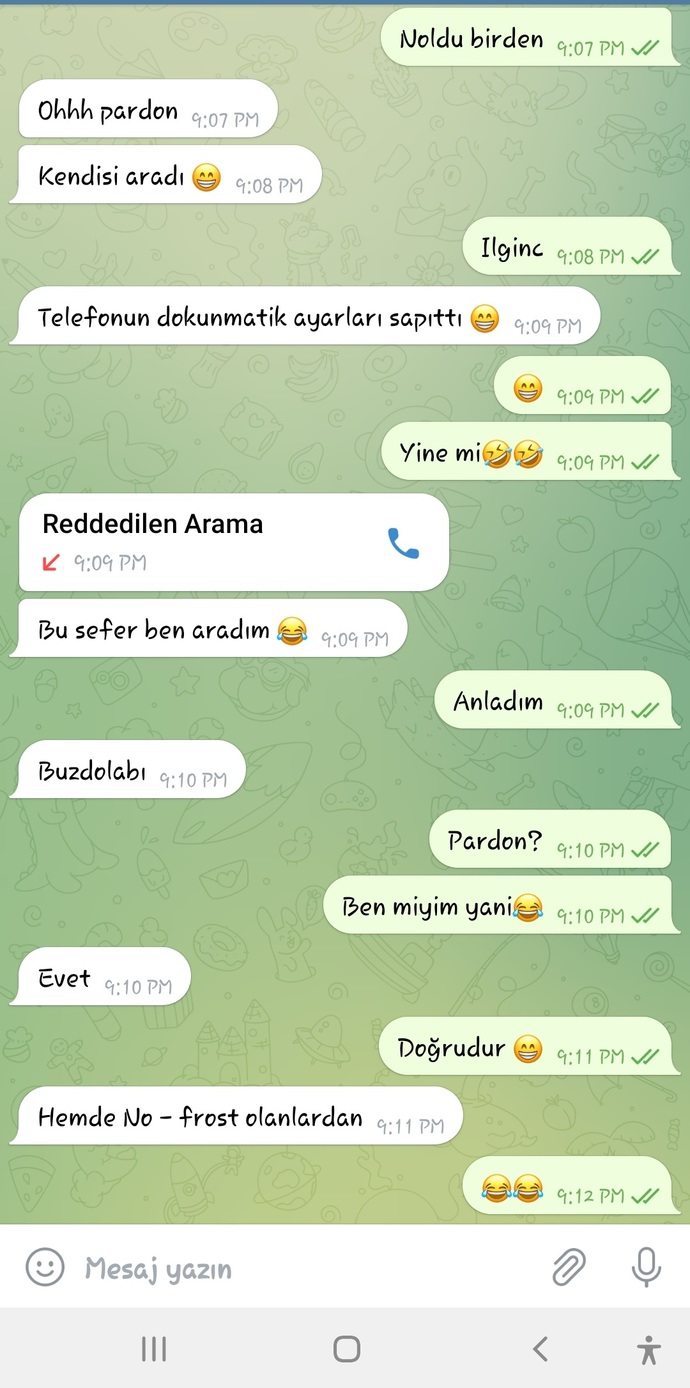 No frost ne anlama geliyor?