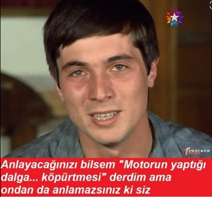 aynn