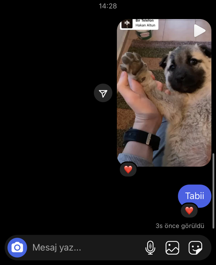 Arada aptallığınız tutuyor mu?