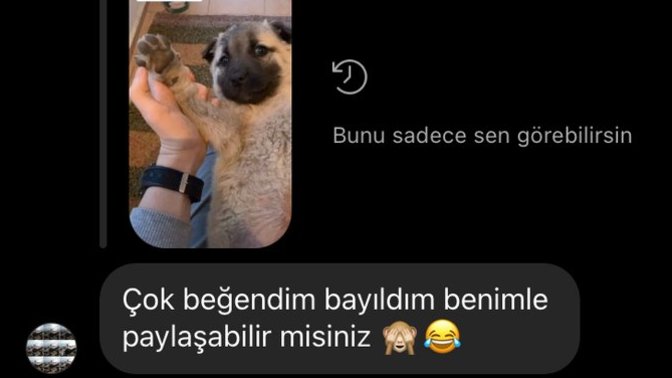 Arada aptallığınız tutuyor mu?