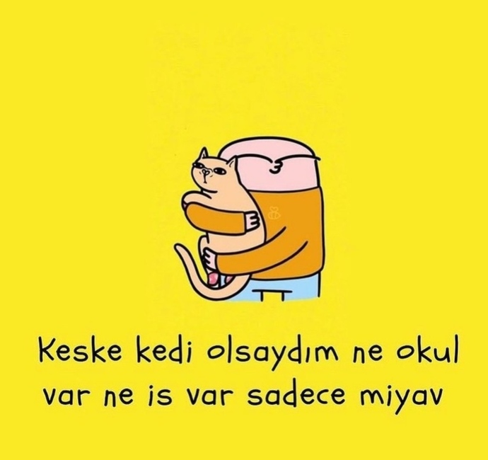 İnsan olmasaydın ne olmak isterdin?