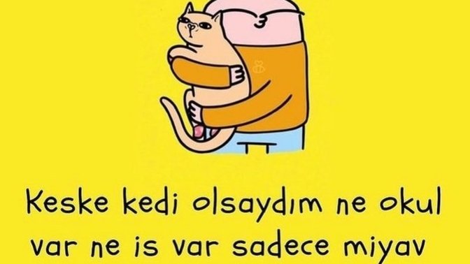 İnsan olmasaydın ne olmak isterdin?