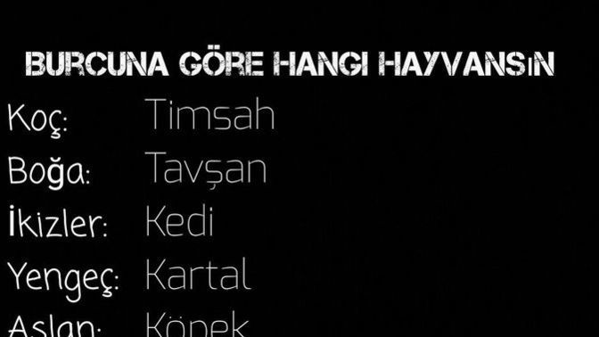 Burcunuza göre hangi hayvansınız?