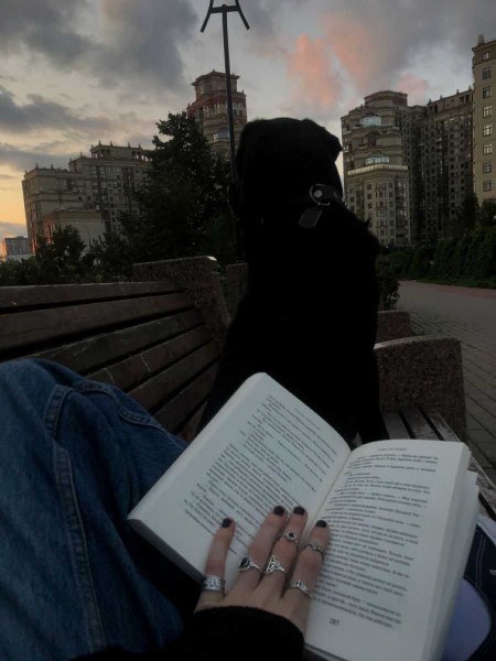Açık alanda kitap okuyabilir misiniz?