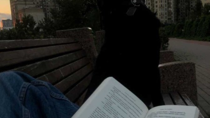 Açık alanda kitap okuyabilir misiniz?