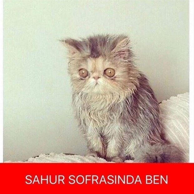 İyi geceler sahura kadar uyanık mısınız uyur musunuz?
