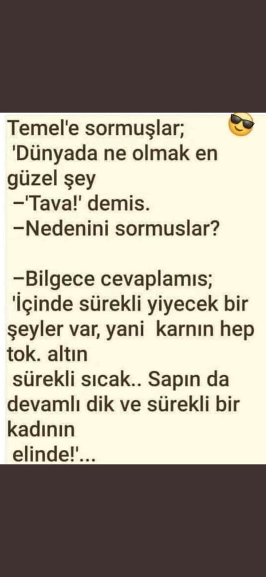 Bir mutfak malzemesi olsanız bu ne olurdu?