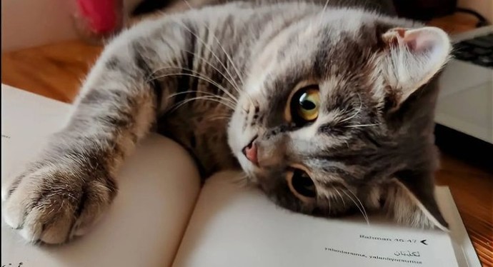 Sabahları mı huysuz oluyorsunuz, uykunuz gelince mi?