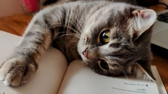 Sabahları mı huysuz oluyorsunuz, uykunuz gelince mi?