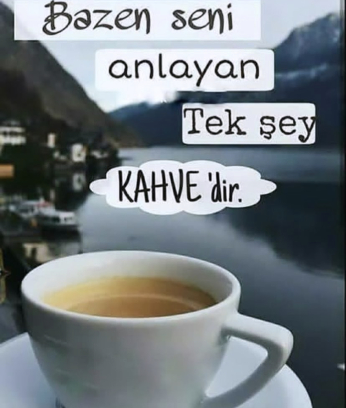 Seni en iyi anlayan şey nedir?