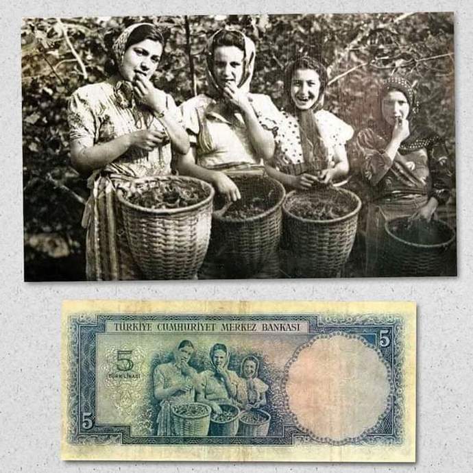 Sizce ülkeler için tarımın önemi nedir?