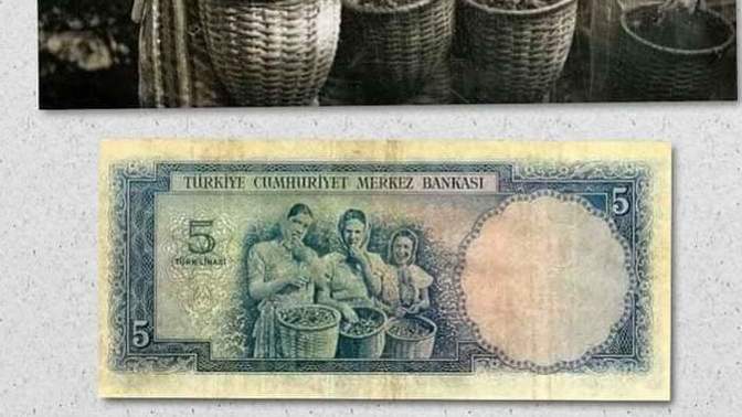Sizce ülkeler için tarımın önemi nedir?