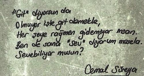 Şiir yazar veya okur musunuz, sevdiğimiz şiirleri paylaşalım mı?