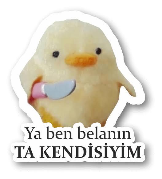 Siz uzaktan nasıl birisiniz?