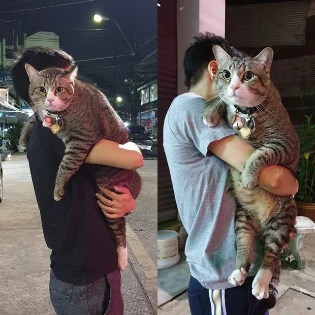 #nirhammm 🌸