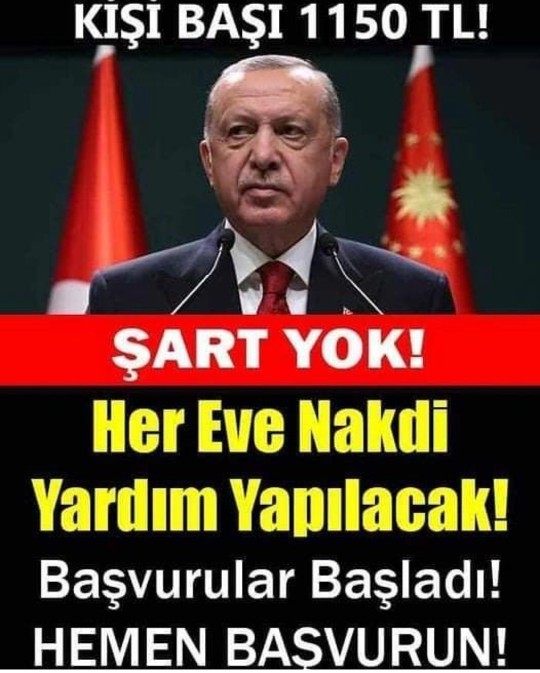Hemen başvur şart😂yok kefil yok alan var mı?