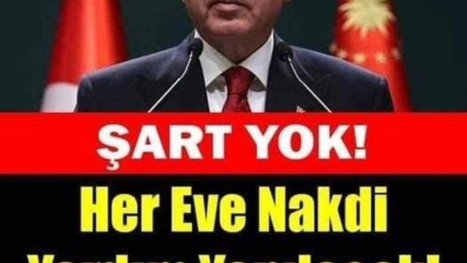 Hemen başvur şart😂yok kefil yok alan var mı?