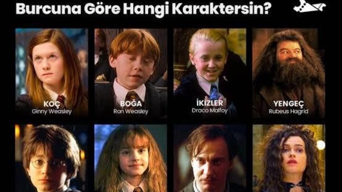 Burcuna göre hangi HP karakterisin?