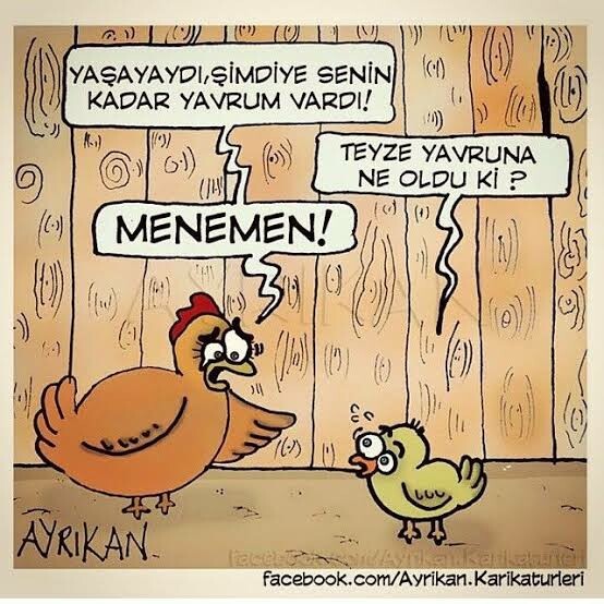 Nelerin kaygısını yaşıyorsunuz?