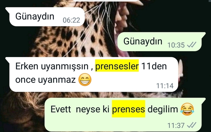 Bu mesaj sayılır mı 😄