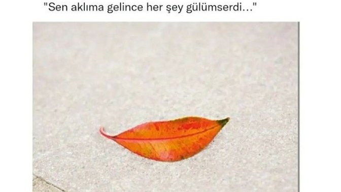 Size "günaydın prens /prenses" diye mesaj atan sevgiliniz oldu mu hiç?