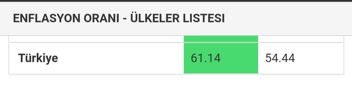 Türkiyenin, 208 ülke arasında en kötü 7. enflasyon oranına sahip ülke olması hakkında ne düşünüyorsunuz?