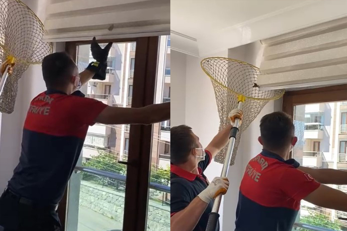 Uykudan uyanan yarasalar evlere giriyor! Evinize yarasa girseydi ne yapardınız?