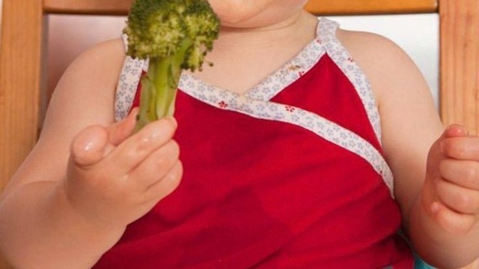 Çocukların vegan beslenmesi hem uzmanları hem ebeveynleri ikiye böldü! Sizce çocuklar vegan beslenmeli mi?