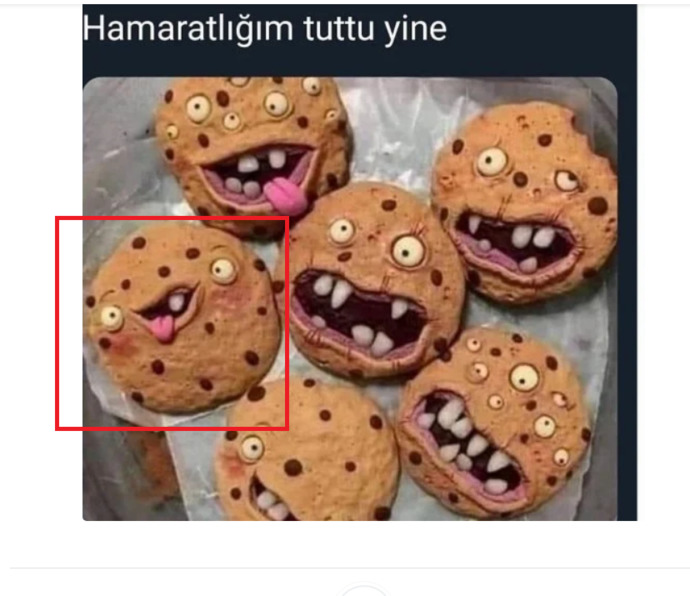 Bu canavar kurabiyeleri yiyebilir misiniz?