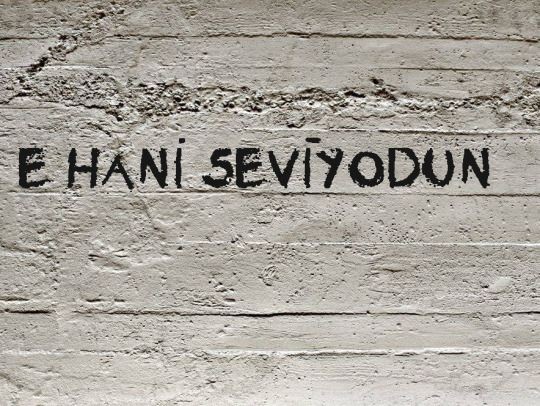 Siz aşkı ne sanıyorsunuz?