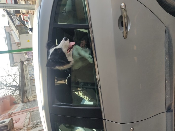 En son ne fotoğrafı çektiniz?
