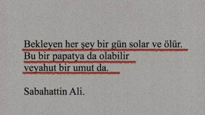 Hoşlandığınız birisinin dikkatini çekmek için en fazla ne yaparsınız?