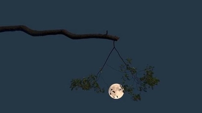 Rüyalarınızı hatırlar mısınız?