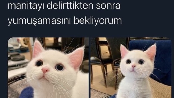 Manitanın gönlünü nasıl alıyorsunuz küstürünce?