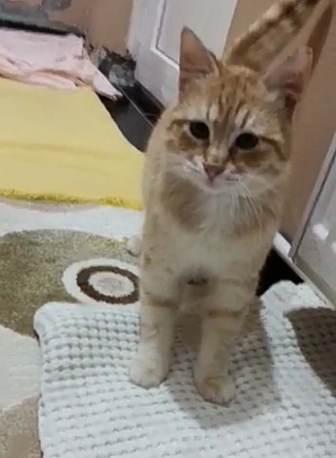 Bu bebişin ismi ne olsun?