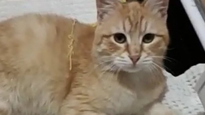 Bu bebişin ismi ne olsun?
