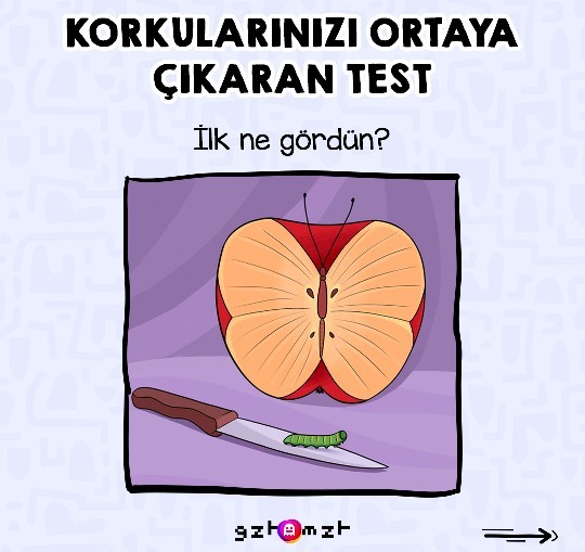 Resimde ilk neyi gördünüz?