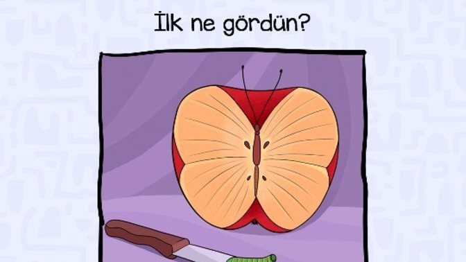 Resimde ilk neyi gördünüz?