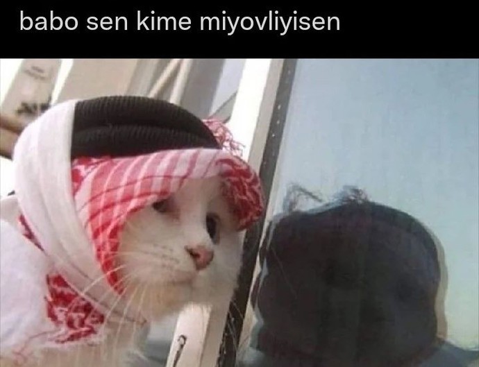 Telefonu duvara çarpsm haksız mıyım şimdi?