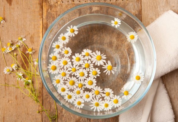 Papatya Suyu Nedir?