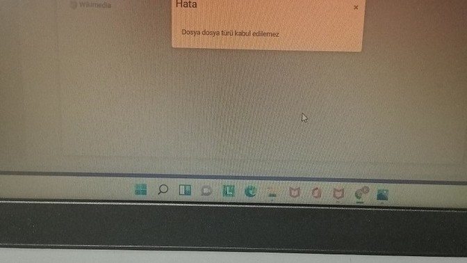 "Dosya, dosya türü kabul edilemez ne" demek?