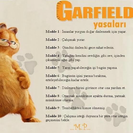 Garfield yasalarını biliyor musunuz?