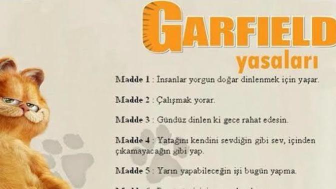 Garfield yasalarını biliyor musunuz?