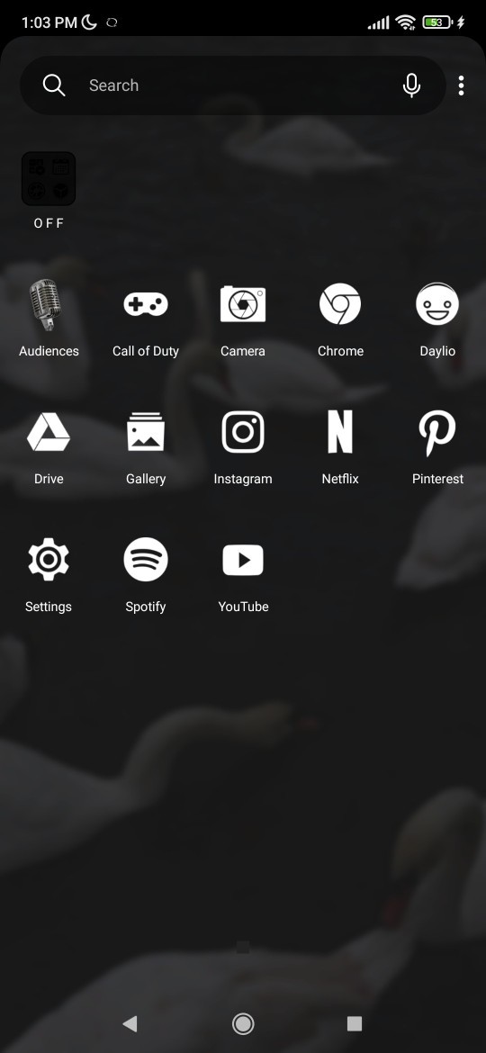 Telefon ana sayfan dağınık mı yoksa düzenli mi?