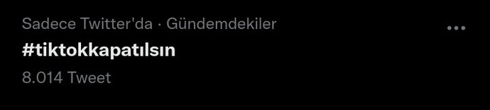 Tiktok hakkında düşünceleriniz nelerdir?